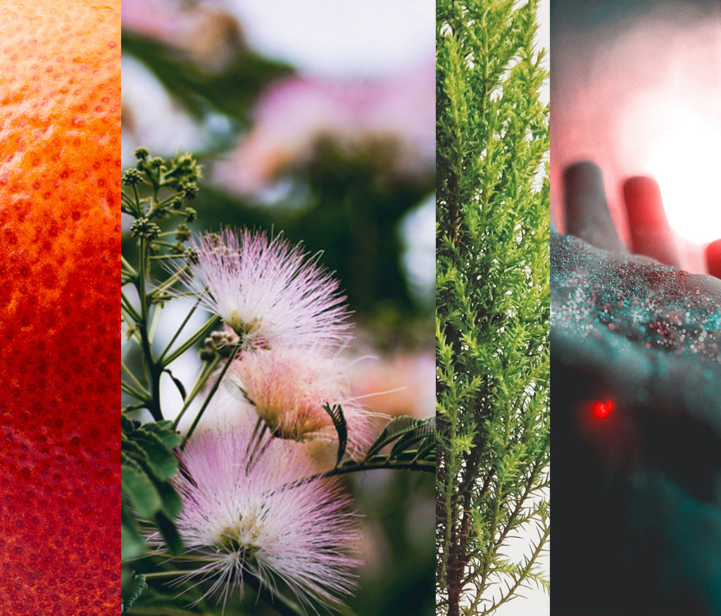 30 ALPHAORA smaržūdens